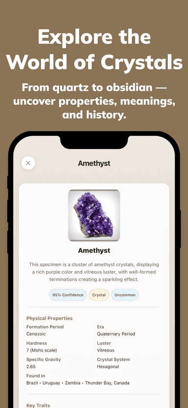 Rocky App Screenshot 5